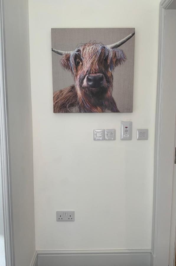 Deeside Snugs Apartments Kincardine O'Neil ภายนอก รูปภาพ
